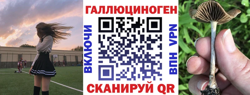 Галлюциногенные грибы мухоморы  Купить где  Алейск 